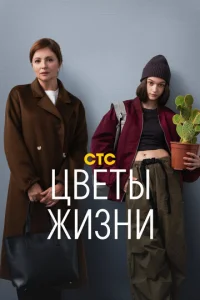 Ц1010eтӹ dzhuʒkvju