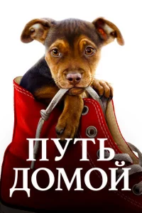 Ոyтb ldo0ʍ0il1